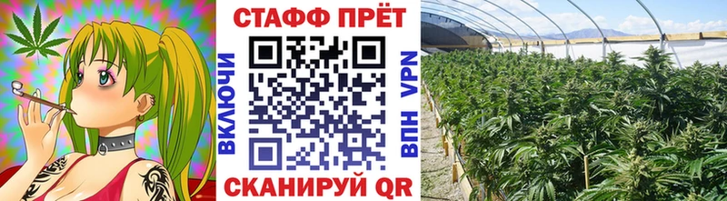 Купить закладку LSD-25  МЕФ  Cocaine  Альфа ПВП  Пестово