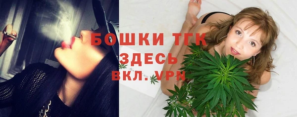 PSILOCYBIN Богородицк