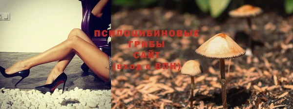 тгк Богданович
