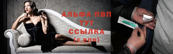 PSILOCYBIN Богородицк