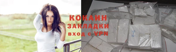 тгк Богданович